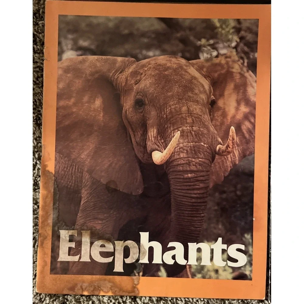 Vintage Zoobooks Lot of 26‎ Magazines 1980-1990 Random Animals Baby 2